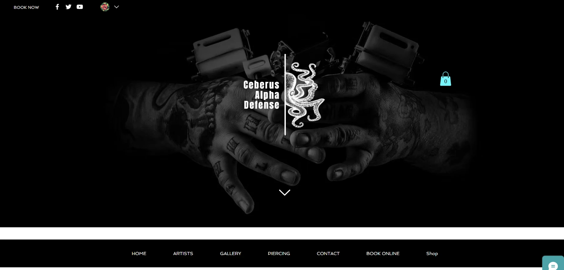 Black-and-white homepage for Ceberus Alpha Defense with centered logo and booking navigation